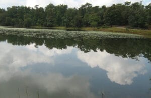 Bangalore To Goa Road Trip
