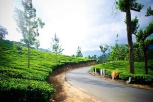 10 Best Road Trips in India