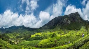 Places To Visit In Munnar