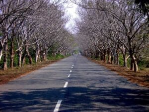 10 Best Road Trips in India