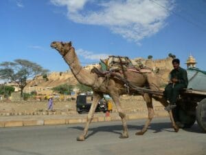 10 Best Road Trips in India