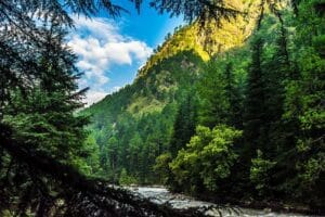 10 Best Road Trips in India