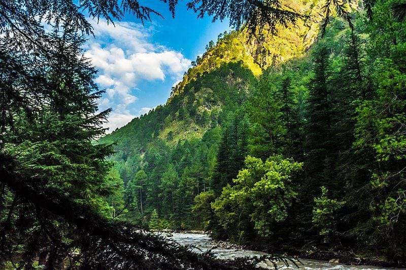 10 Best Road Trips in India