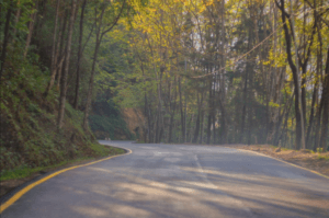 10 Days Nagaland Trip