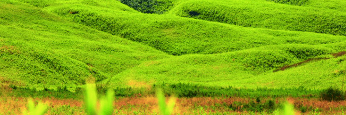 10 Days Nagaland Trip