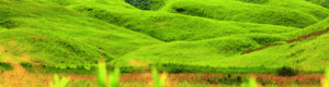 10 Days Nagaland Trip