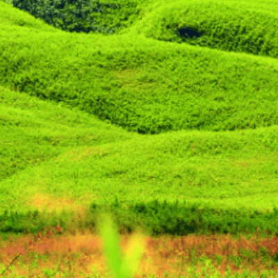 10 Days Nagaland Trip