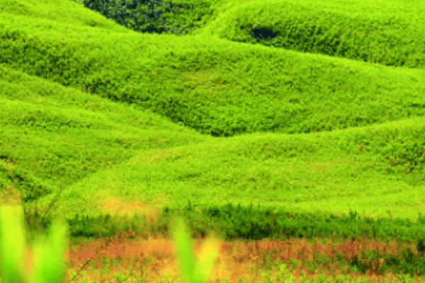 10 Days Nagaland Trip