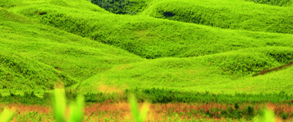 10 Days Nagaland Trip