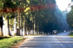 10 Best Road Trips in India