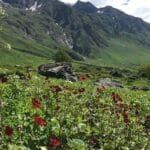 10 Best Trekking Places In India