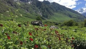 10 Best Trekking Places In India
