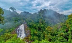 Places To Visit In Munnar