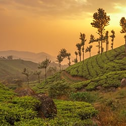 5 Best Mountains To visit