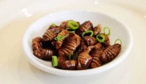 10 Strange Foods