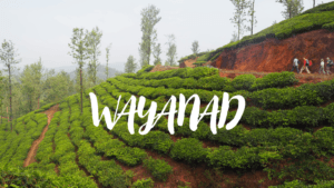 Bengaluru - Wayanad